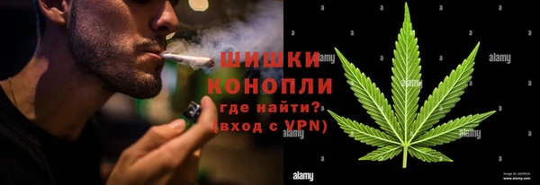 PSILOCYBIN Арсеньев