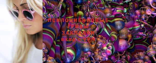 гашик Армянск