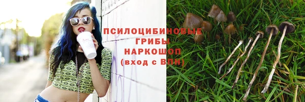 герыч Аркадак