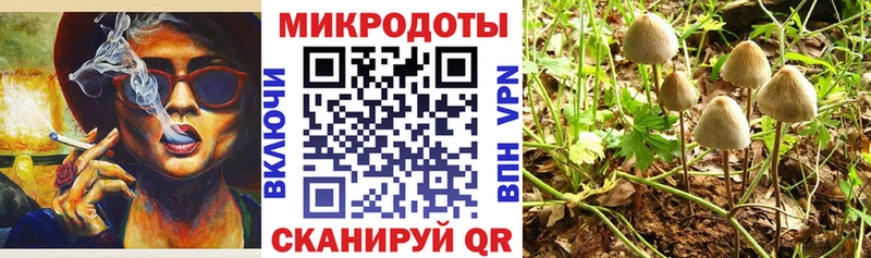 дарнет шоп  Спас-Деменск  Галлюциногенные грибы Psilocybine cubensis 
